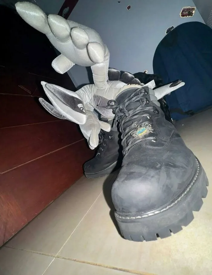 Stuffed toy reaching out from inside black boots in amusing posts.