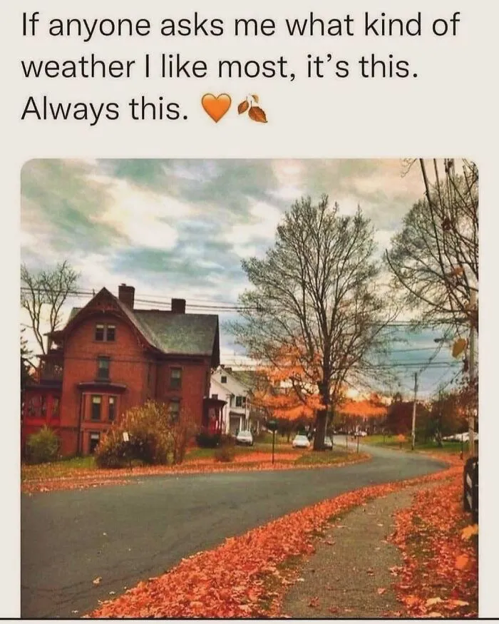 A cozy autumn neighborhood street with fall leaves representing spooky season memes humor