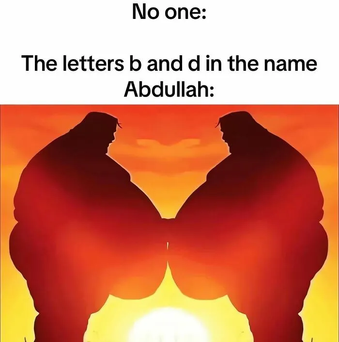 An out-of-context pic meme showing two large mirrored silhouettes touching back to back against a sunset.