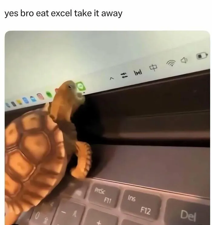 A funny out-of-context pic of a small tortoise biting the edge of a laptop screen near the Excel app icon.