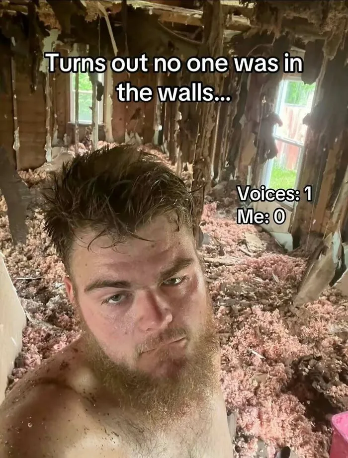 Man covered in insulation with text about voices in walls meme