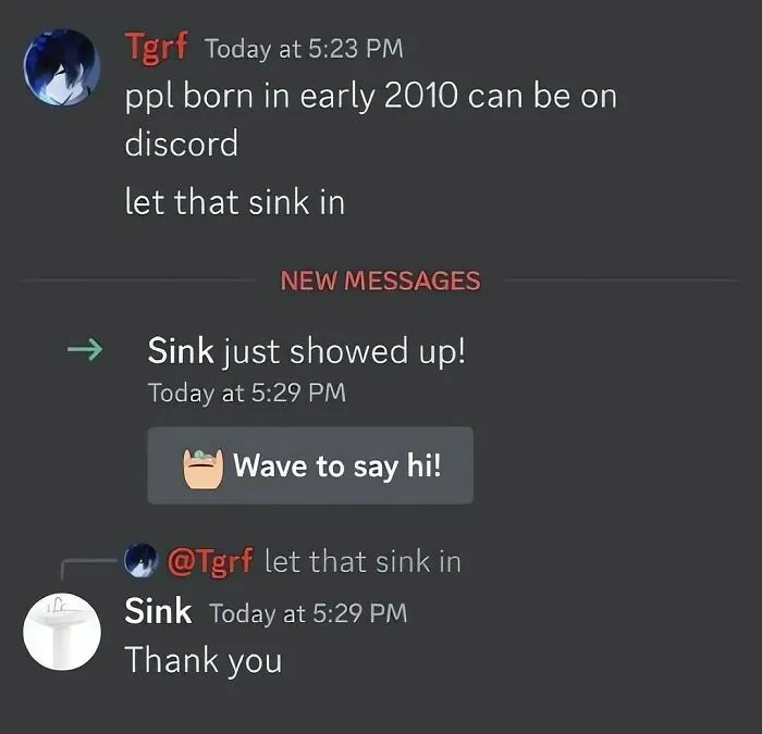 Discord screenshot joke about letting a sink in, featured in out of context pics.