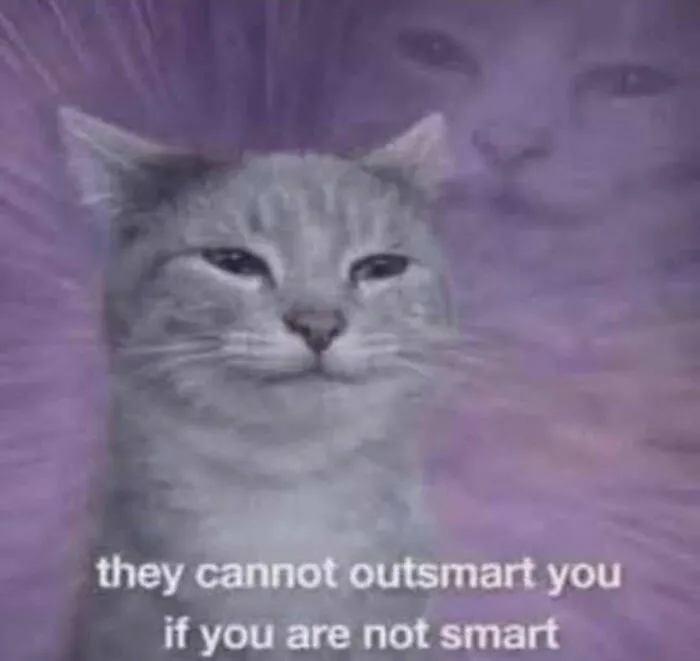 Smirking cat meme with funny text, ideal for out of context pics showcasing internet humor.