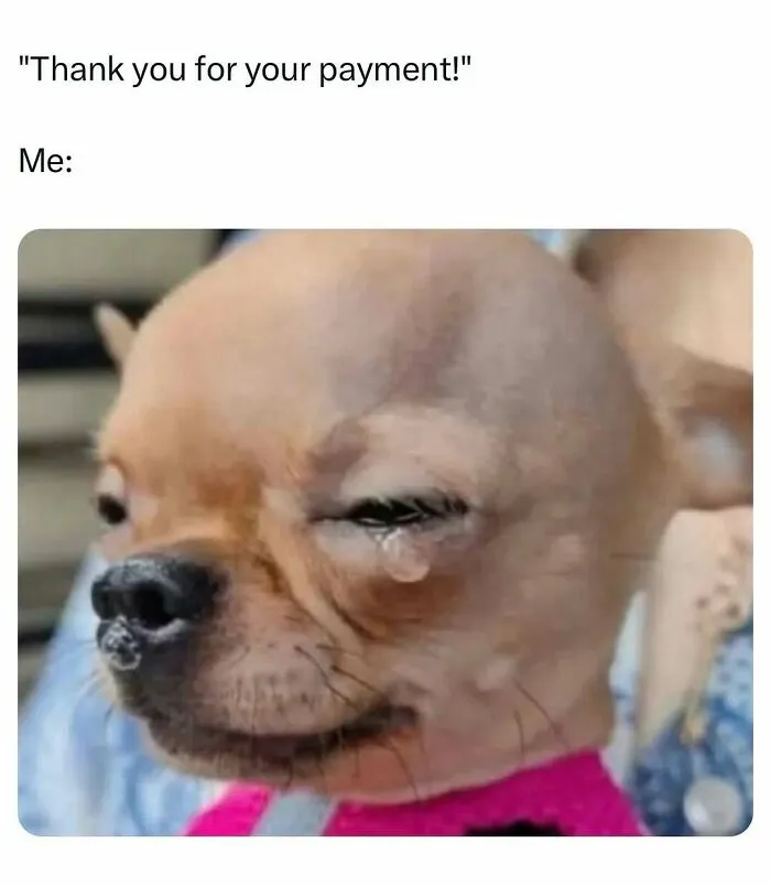 Close up of dog crying meme about payment appreciation
