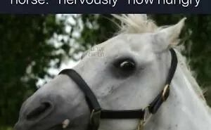76 Photos That Probably Weren’t Meant To Be Funny But Absolutely Are