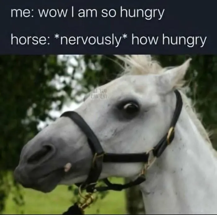 Silly-Out-Of-Context-Pics