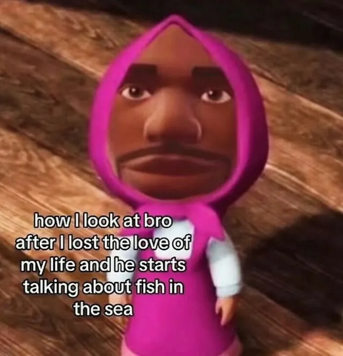 Out-of-context pics of a funny video game character wearing a pink hood staring blankly