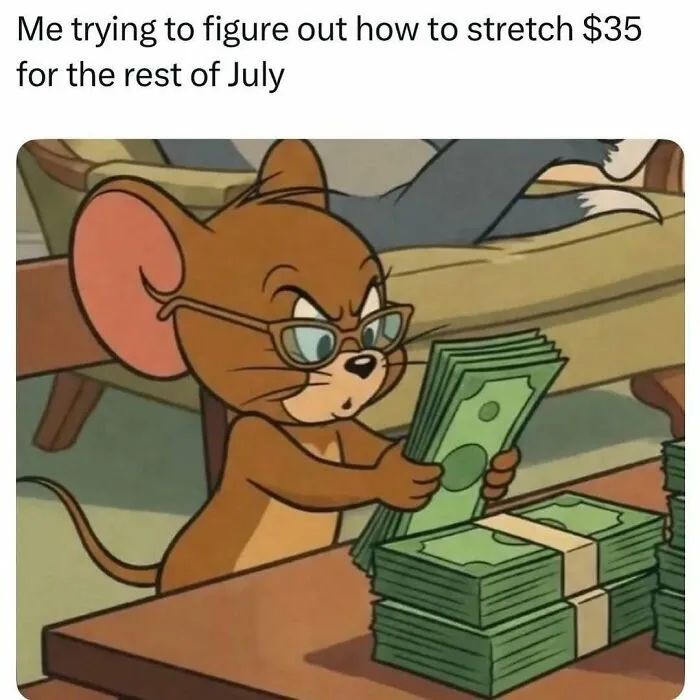 Cartoon mouse counting money meme about budgeting $35