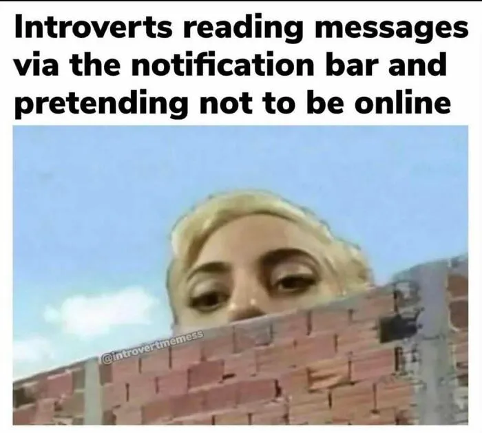 Funny out-of-context pics meme showing a face peeking over a brick wall.