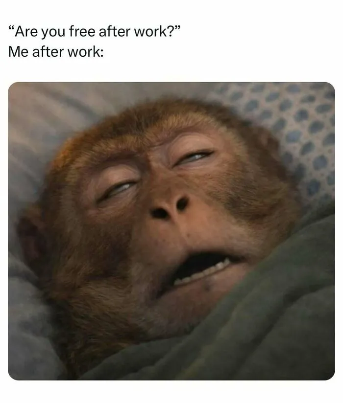 Tired monkey face expressing exhaustion after work meme