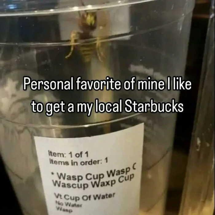 Hilarious pics of a clear drink cup with a label reading wasp cup and a wasp trapped inside