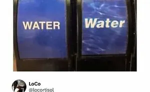 75 Random Memes That Are Way Too Accurate To Be This Funny