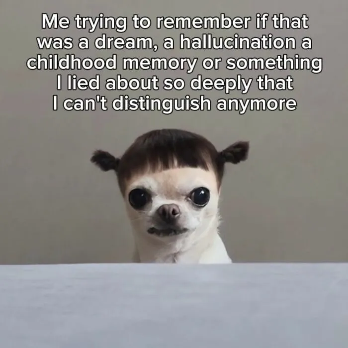 Funny memes with a wide-eyed chihuahua looking confused under text about mixing up childhood memories.
