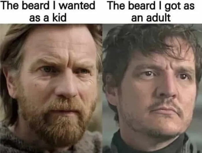 Humorous meme about the beard wanted as a kid versus the beard grown as an adult