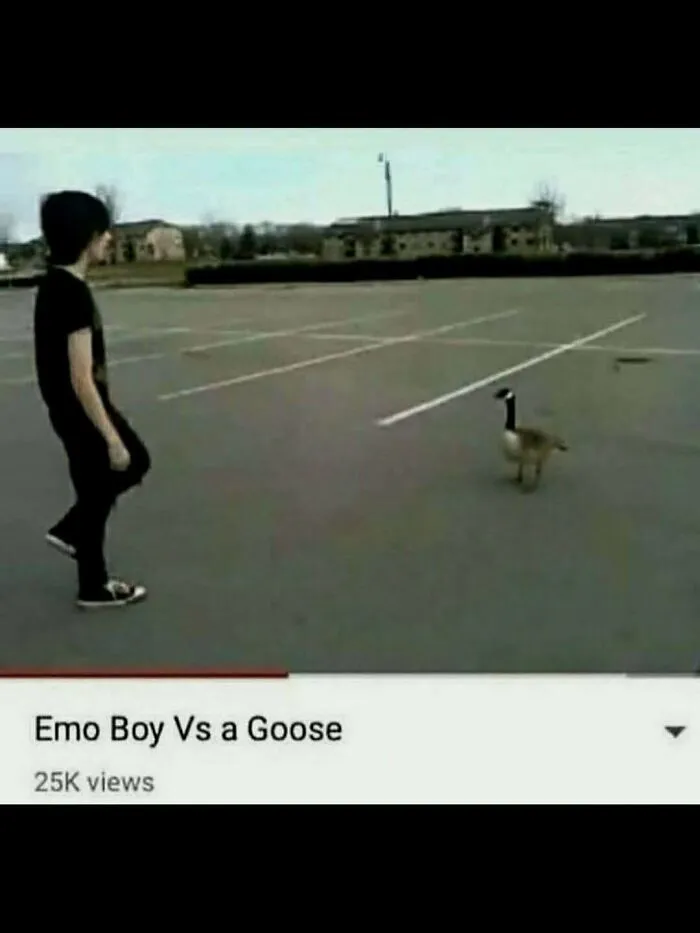 A video thumbnail showing a person facing off against a bird titled Emo Boy Vs a Goose as hilarious pics.