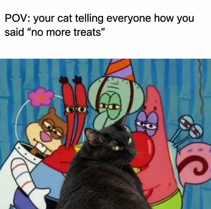 Black cat edited in front of SpongeBob characters for funny rednecks memes about pets.