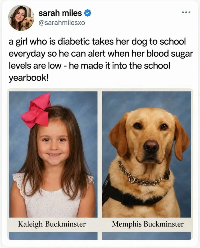 Service dog featured next to young girl in school yearbook, one of the wholesome moments online