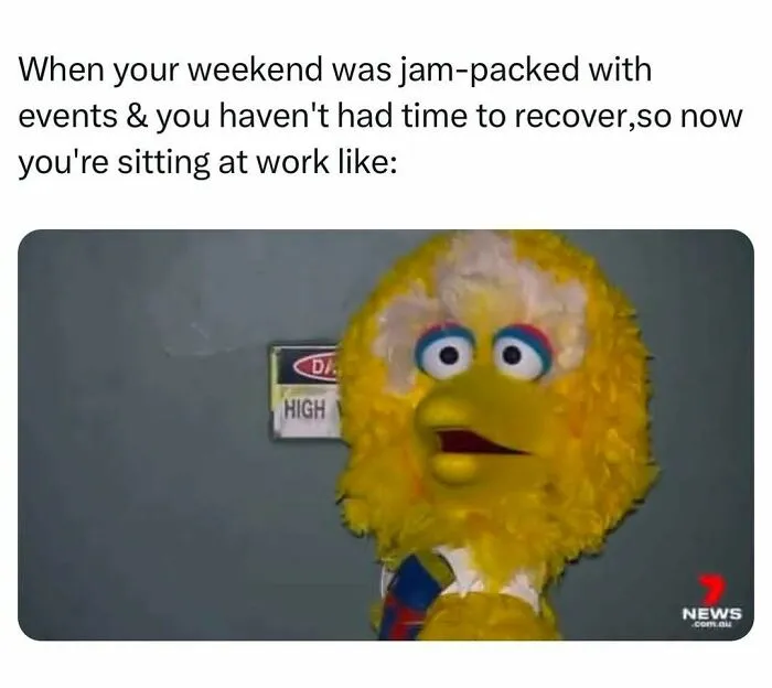 Big Bird tired and overwhelmed meme after a busy weekend at work
