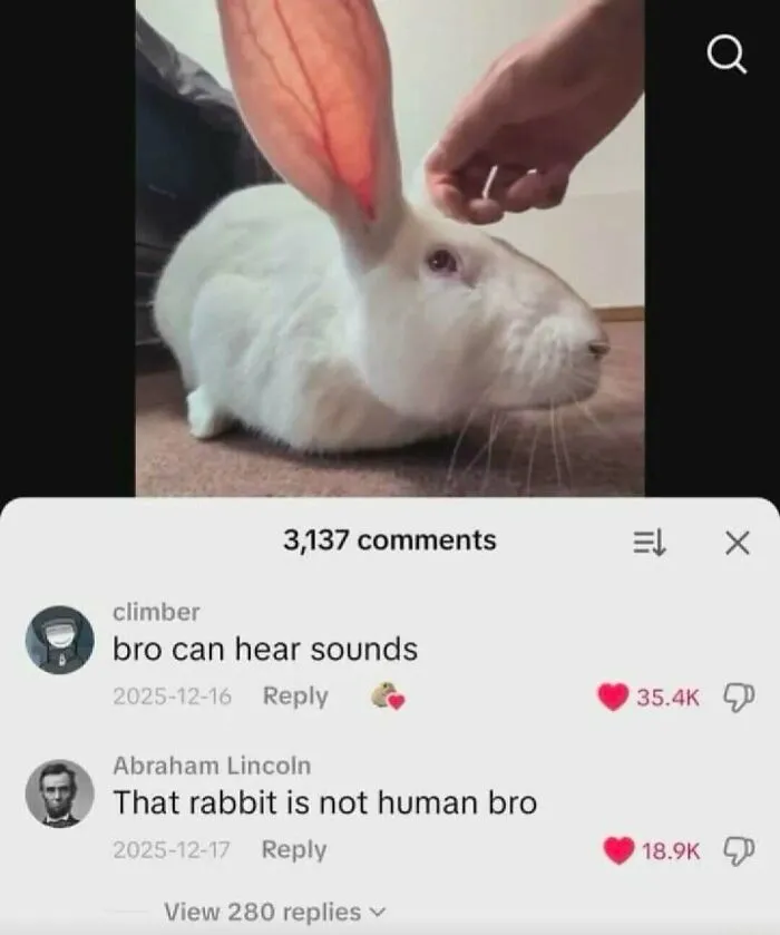 White rabbit with large ears and funny comments about hearing sounds meme