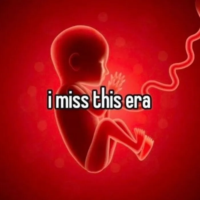 Relatable meme showing an illustration of a human fetus with the text i miss this era
