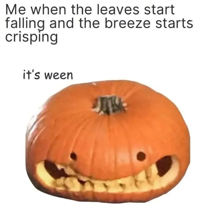 Twisted Halloween memes showing a carved pumpkin with a goofy smiling face for spooky season.