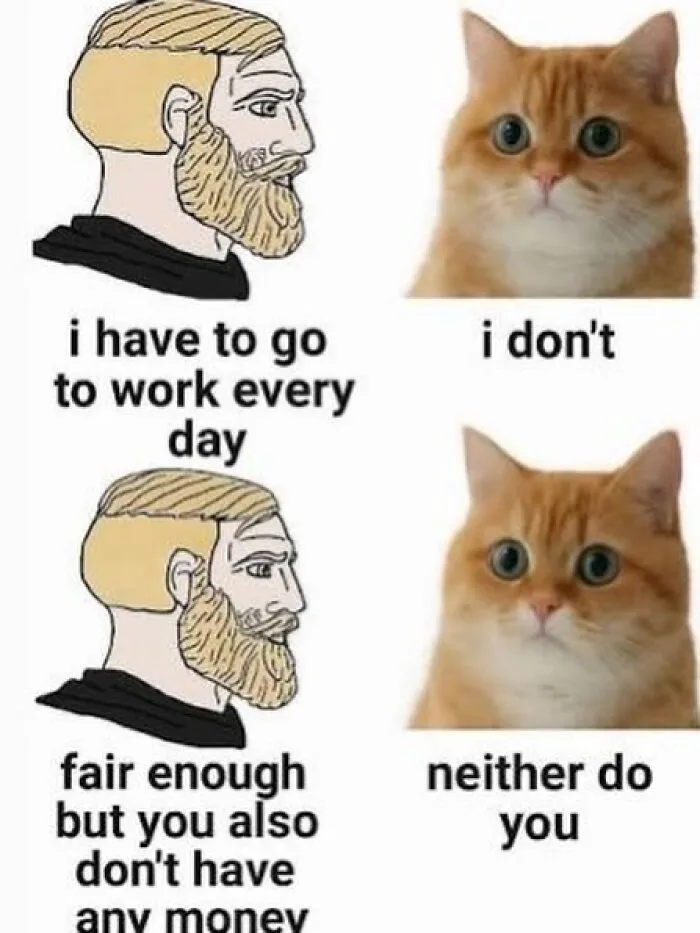 Funny meme with a bearded man and cat about working every day and having money