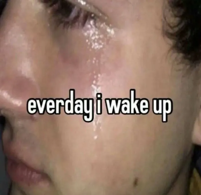 Funny meme of crying face close-up with text everyday i wake up
