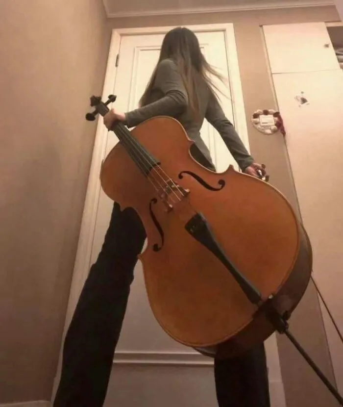 Low angle perspective of a person standing behind a large cello in hilarious pics.
