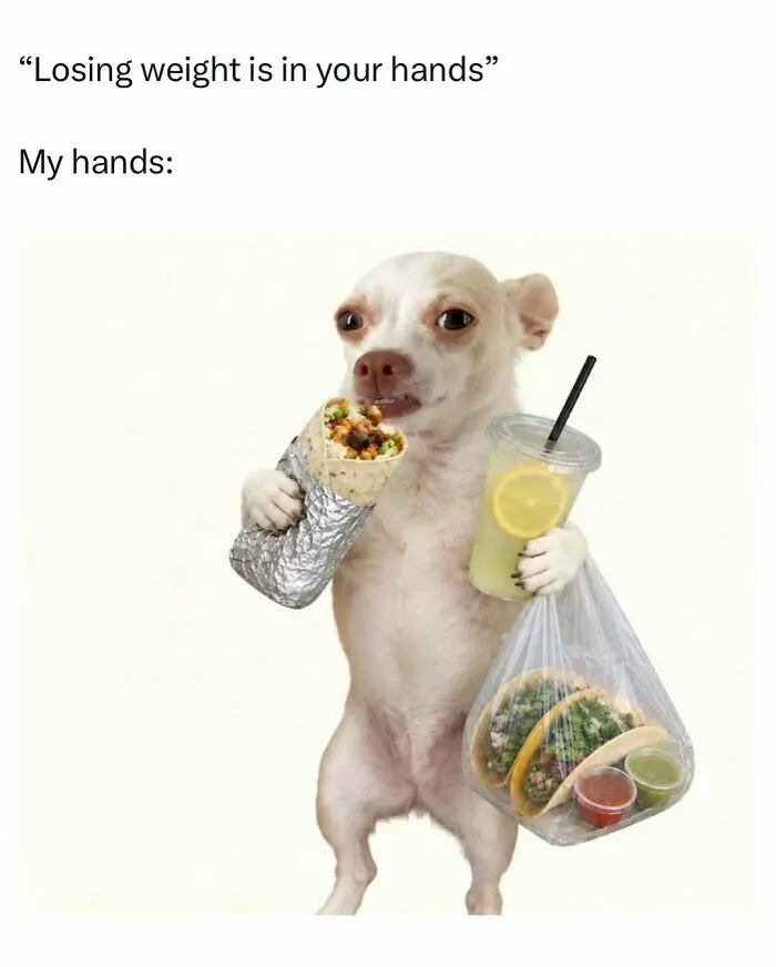 Dog holding burrito, tacos, and drink for losing weight meme