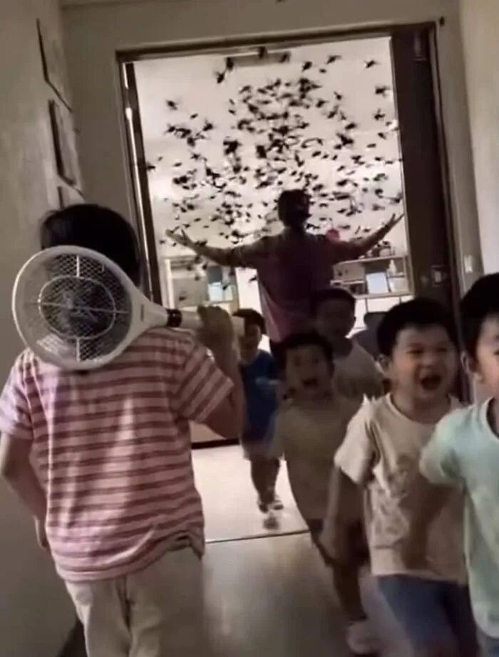 Hilarious pics of kids running with electric fly swatters from a swarm of insects