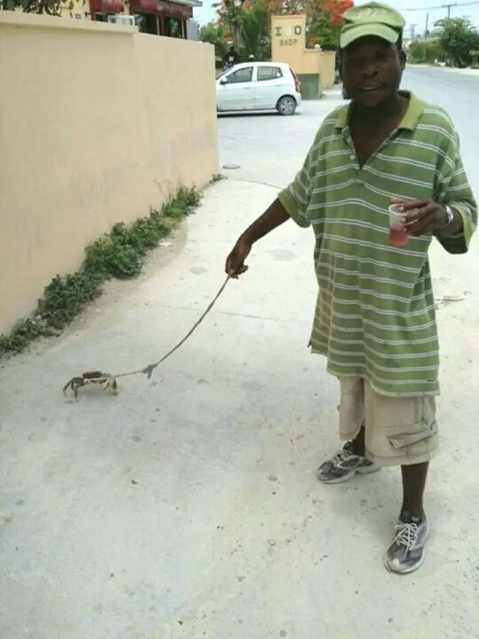 A man in a green shirt walking a live crab on a string leash down the street in an amusing photo
