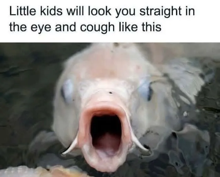 Fish with open mouth caption about little kids looking in eyes and coughing