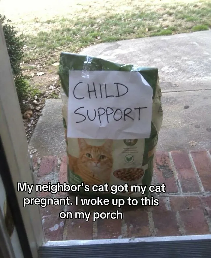 A bag of cat food on a porch labeled child support, a funny example of wholesome moments.
