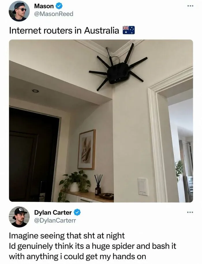 A black internet router mounted high on a wall, resembling a spider in a fun post about Australia