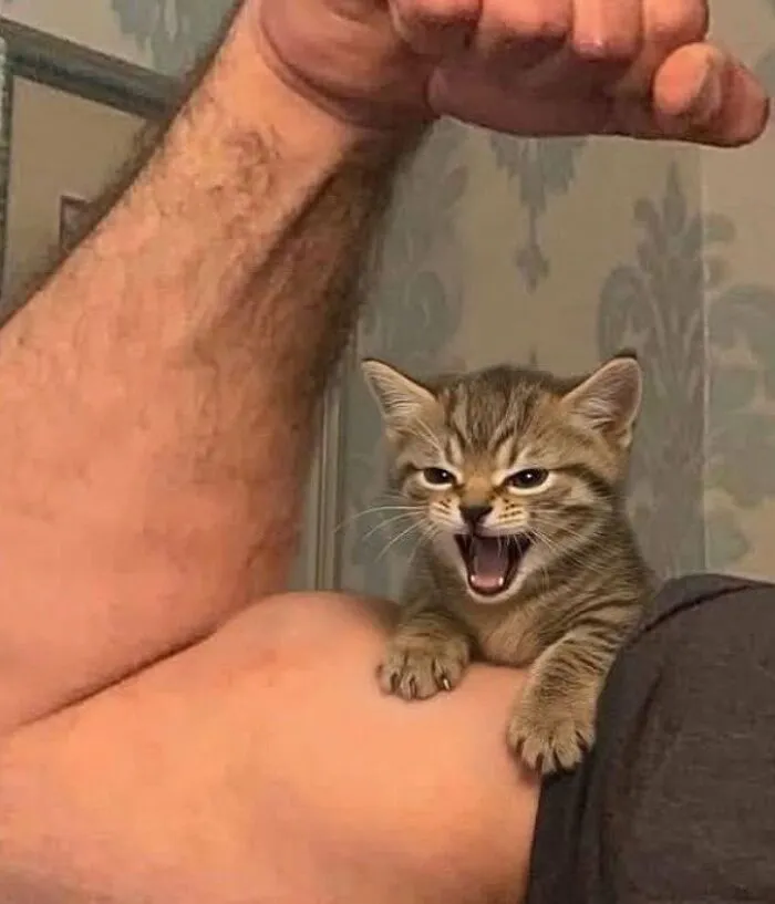 Aaaaaaaaaaaaa.. 🤣