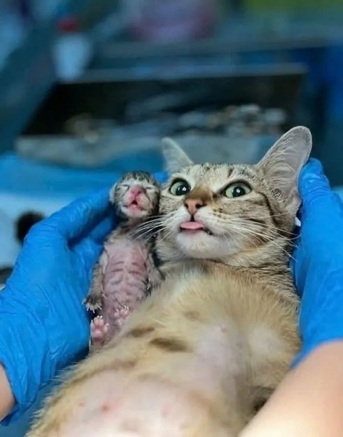 Silly Mom And Her Silly Baby.. 🤣