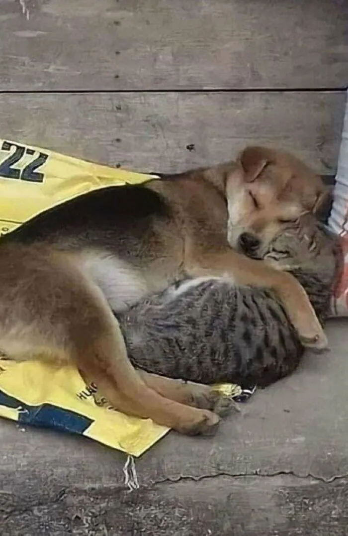 They're Best Friends.. ❤️💯