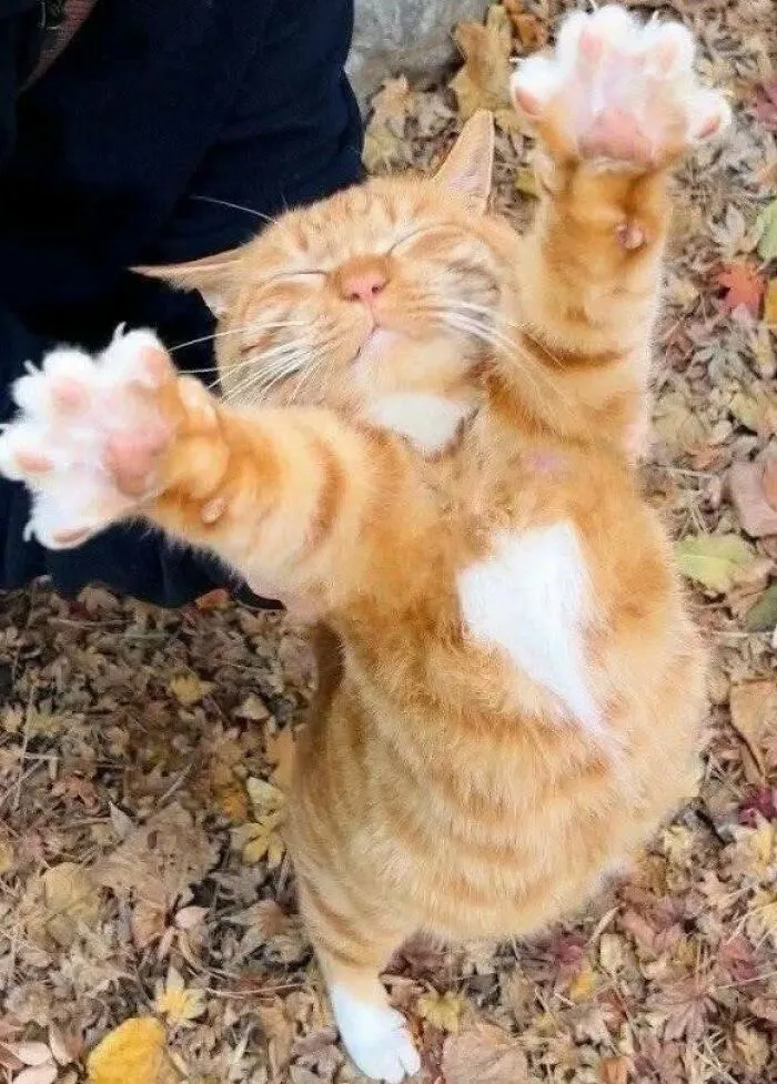 Give Me A Hug.. ❤️