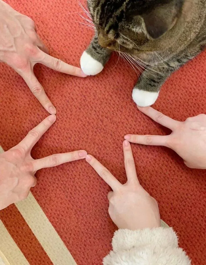 BFF.. ⭐