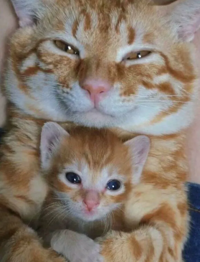 Like Father Like Son.. 🤣