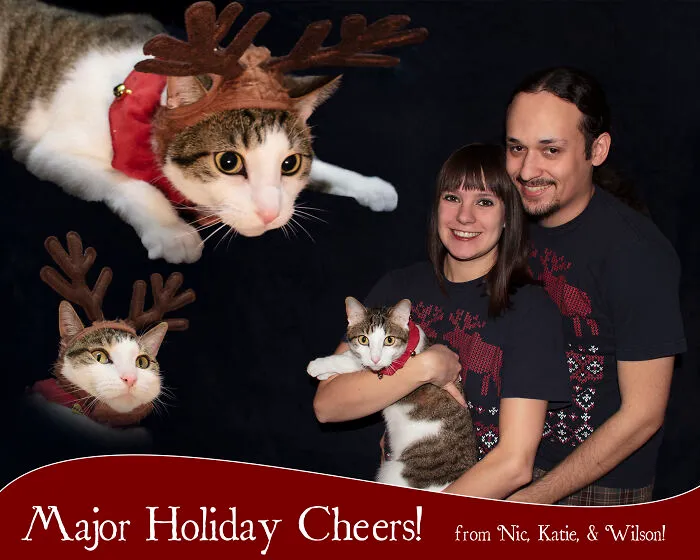 Awkward family photos with cats dressed in festive reindeer antlers for a holiday card