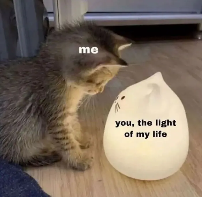 Wholesome memes picture of a cute kitten looking fondly at a glowing cat lamp.