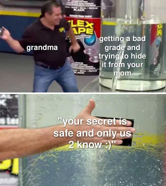 Wholesome memes showing Phil Swift sealing a leak with Flex Tape representing a supportive grandma.