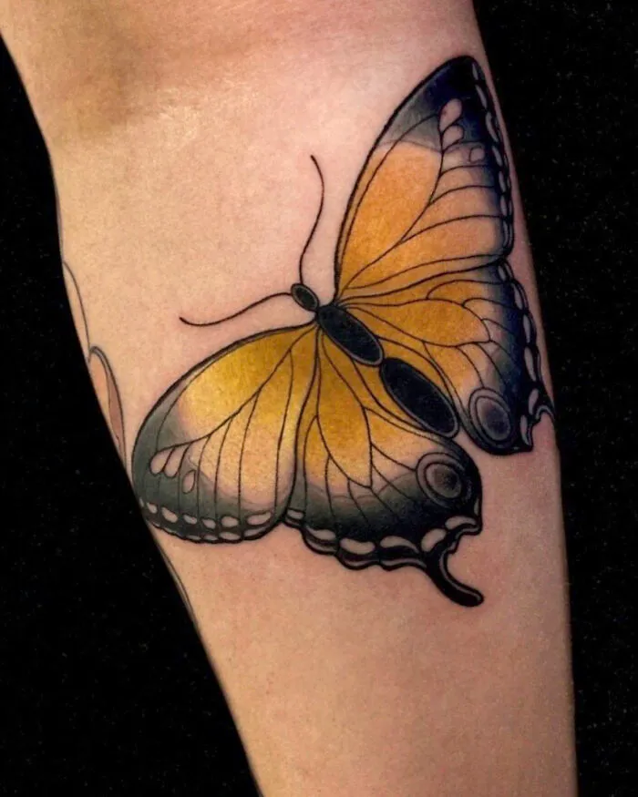 Realistic orange and black butterfly tattoo on forearm