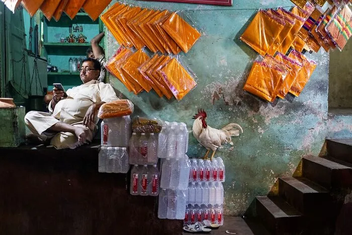 Man sitting by wall with hanging goods and rooster at Siena International Photo Awards
