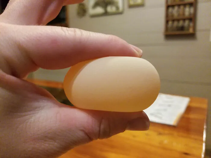 Translucent smooth egg held between fingers glitch in the matrix