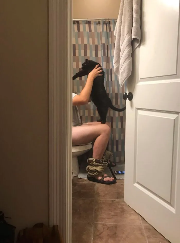 A funny moment showing a black cat climbing on a person in the bathroom, like family photos with cats gone wrong.