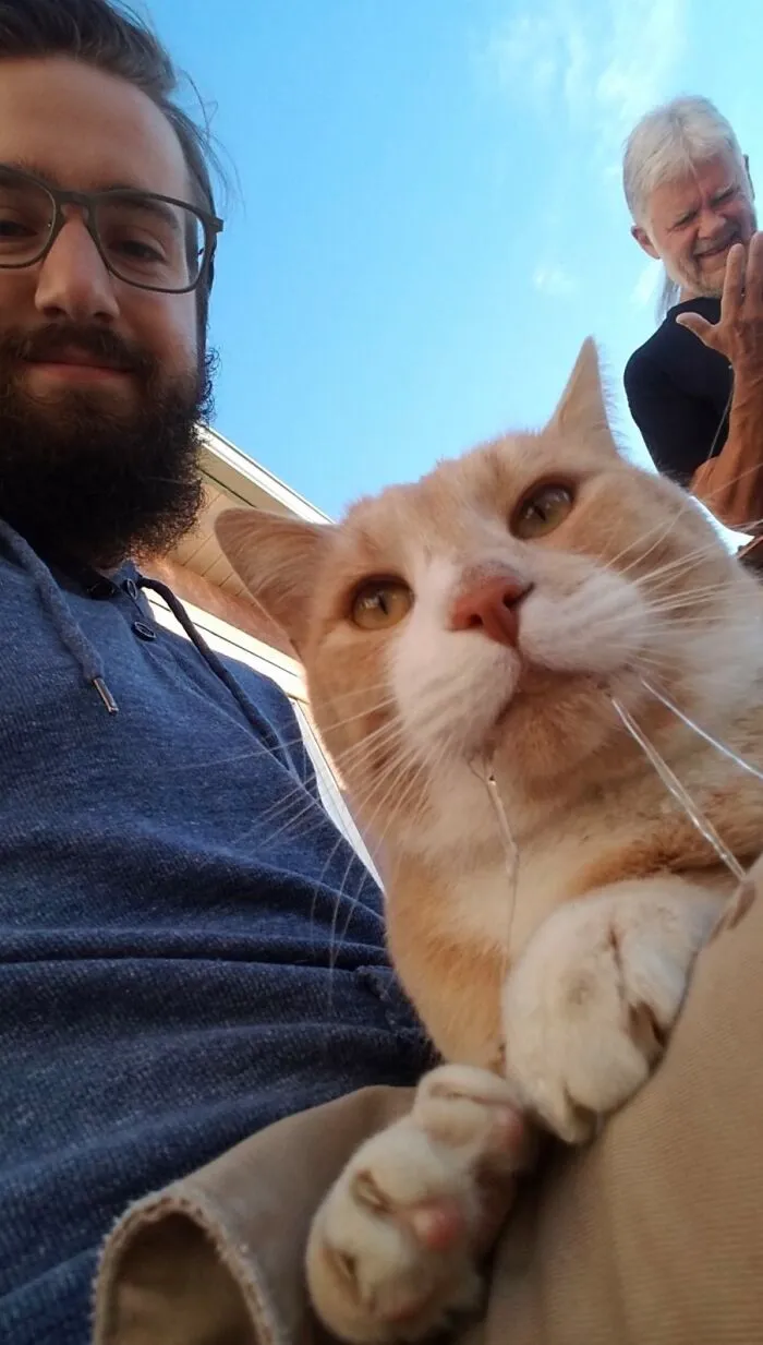 Close-up of a man holding a drooling ginger cat, a funny moment from family photos with cats.