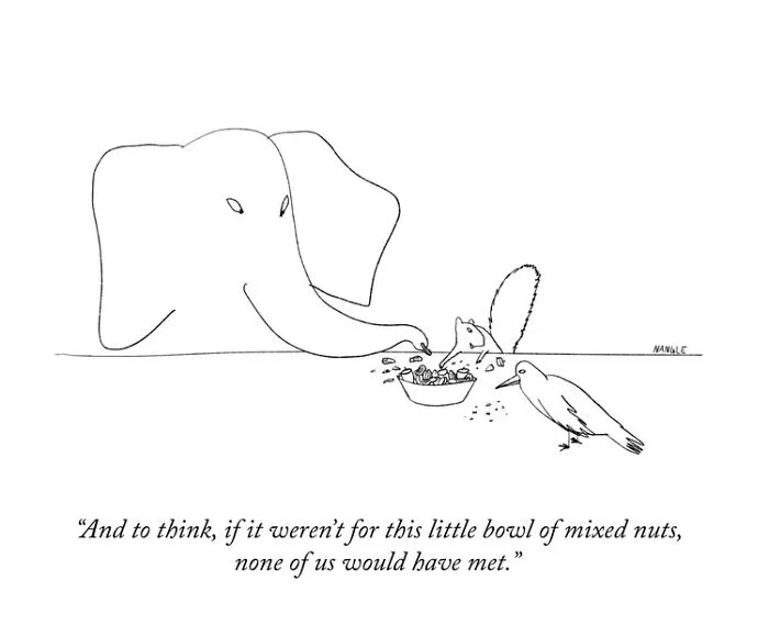 32 Witty Cartoons By Jared Nangle That Capture Life’s Little Absurdities