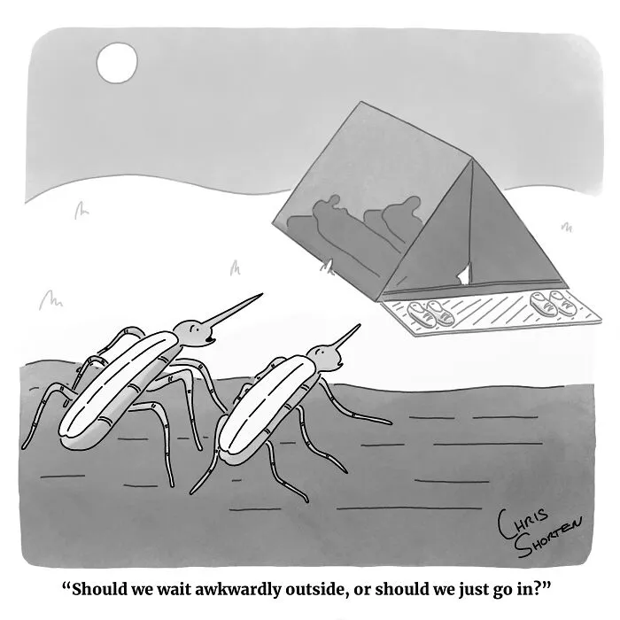Single-panel comics by Chris Shorten showing two giant mosquitoes talking outside a tent where people sleep